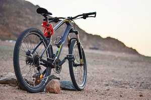mtb information