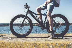 specialist mtb